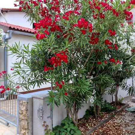 Rocky Apartamento *