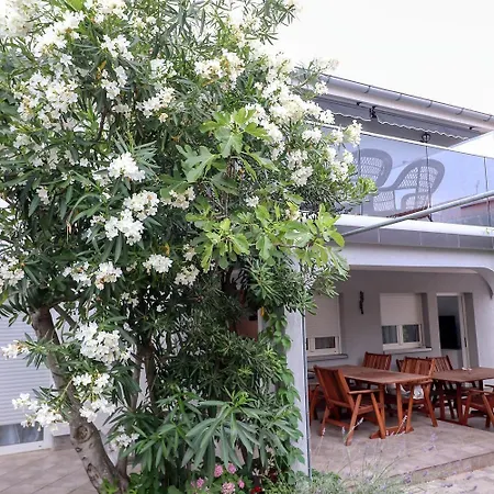 Rocky Apartment *